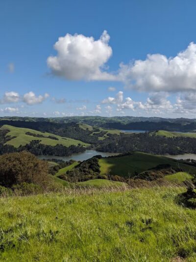 Tilden Regional Park - Orinda, CA