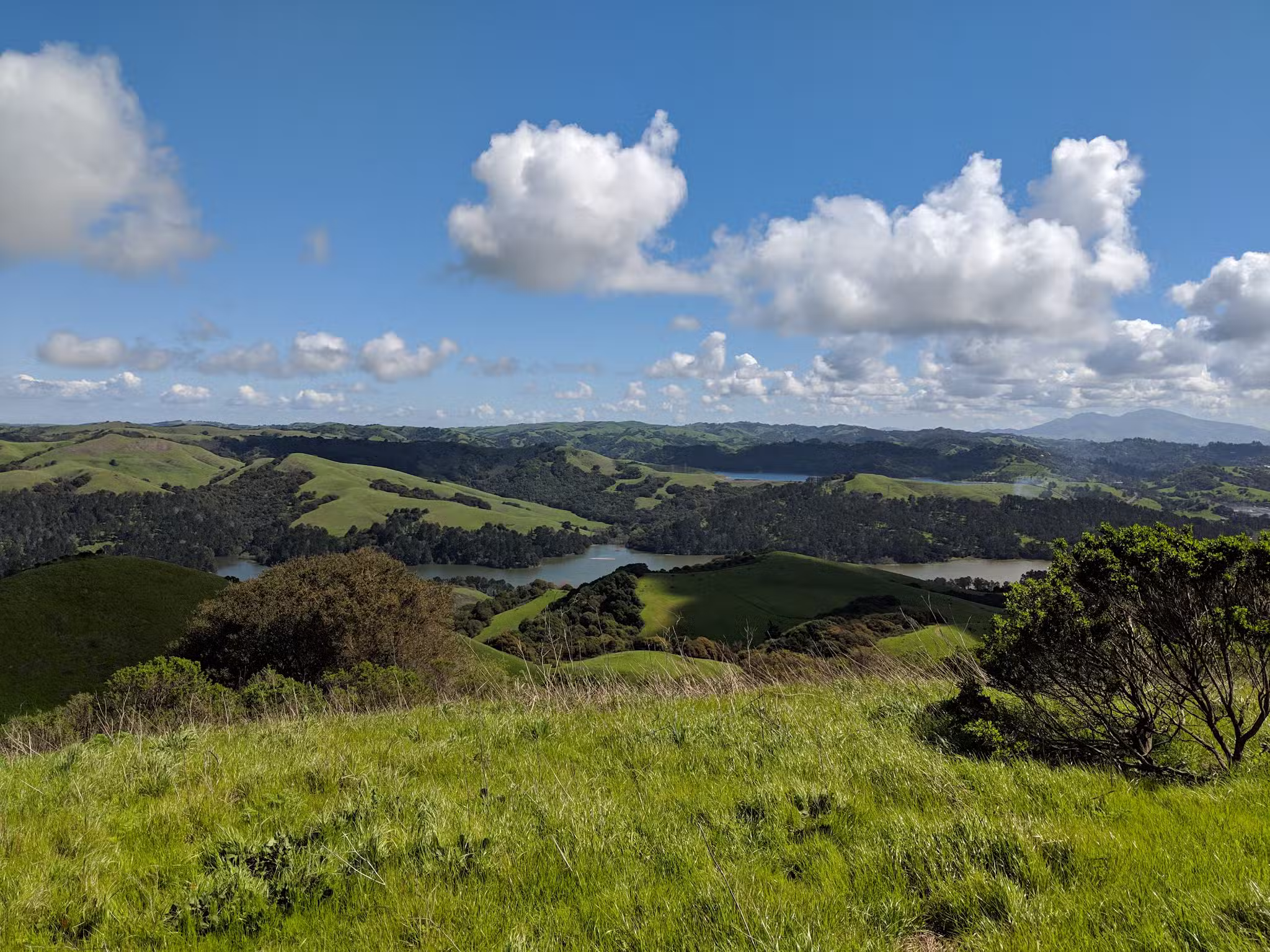 Tilden Regional Park - Orinda, CA