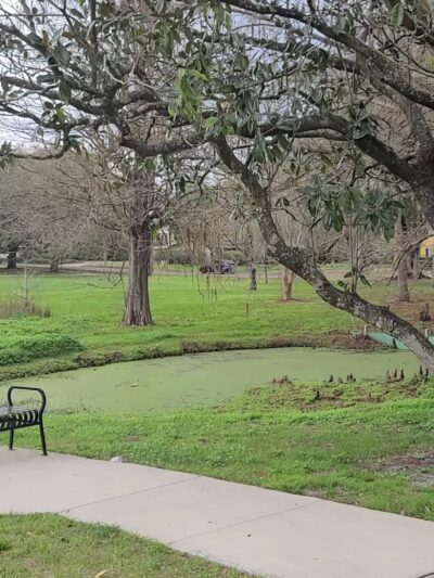 Al Coith Park - Orlando, FL