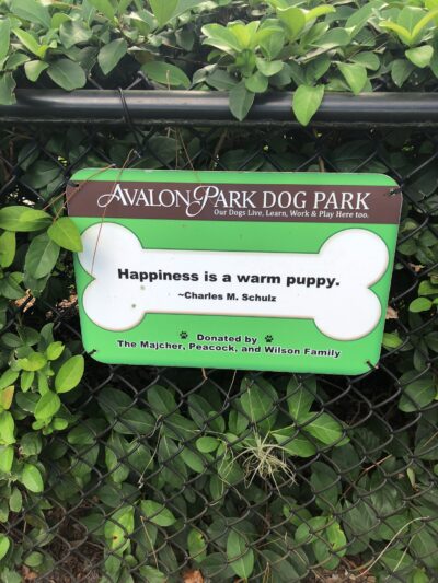 Avalon Park Dog Park - Orlando, FL