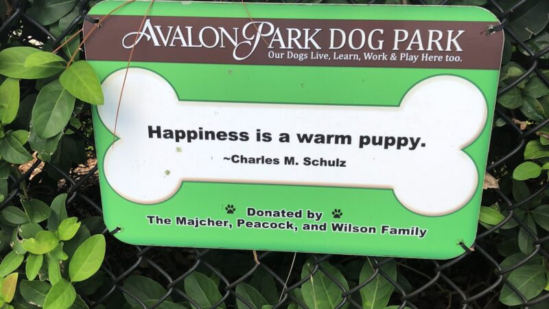 Avalon Park Dog Park - Orlando, FL