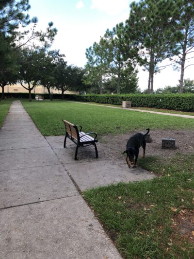 Avalon Park Dog Park - Orlando, FL