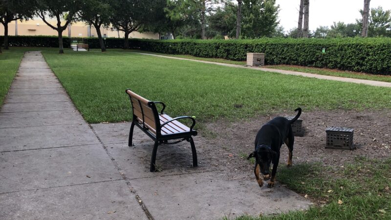 Avalon Park Dog Park - Orlando, FL