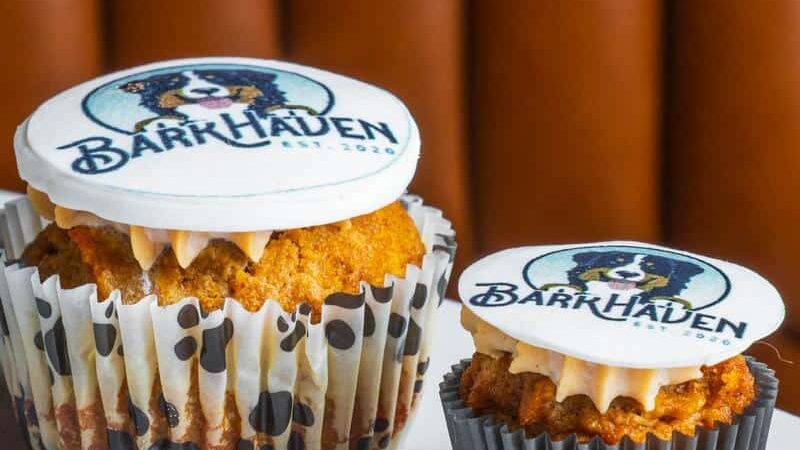 BarkHaven - Orlando, FL