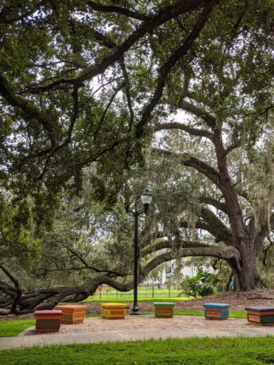 Constitution Green - Orlando, FL
