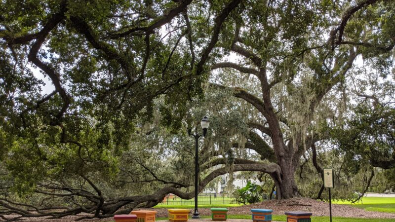 Constitution Green - Orlando, FL