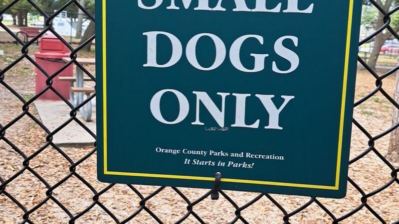 Downey Dog Park - Orlando, FL