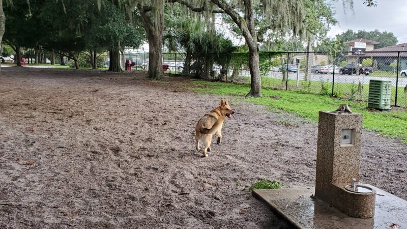 Downey Dog Park - Orlando, FL