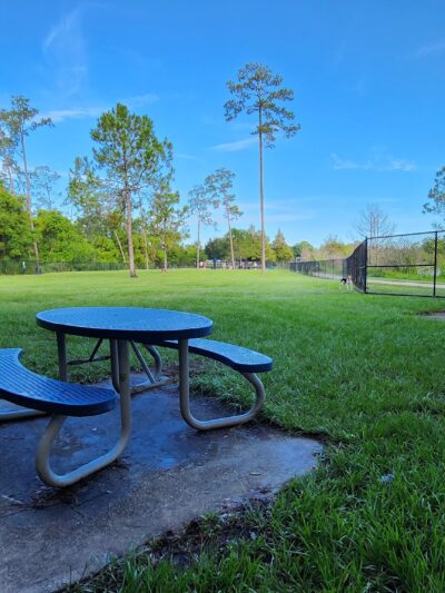Dr. Phillips Dog Park - Orlando, FL