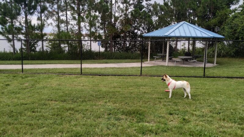 Dr. Phillips Dog Park - Orlando, FL