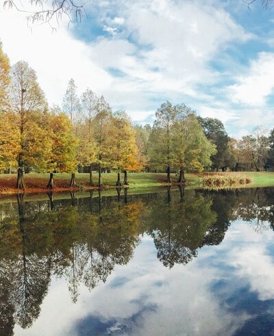 Greenwood Urban Wetlands - Orlando, FL