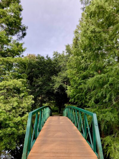 Greenwood Urban Wetlands - Orlando, FL