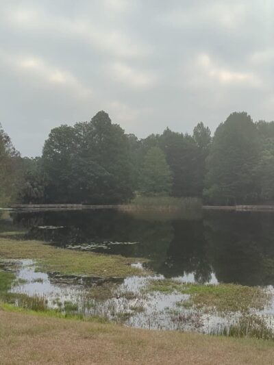 Greenwood Urban Wetlands - Orlando, FL