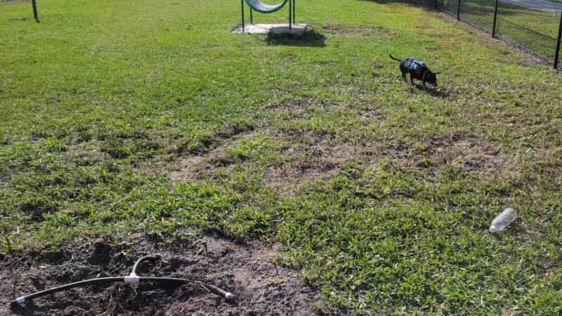 Jubilee Dog Park - Orlando, FL