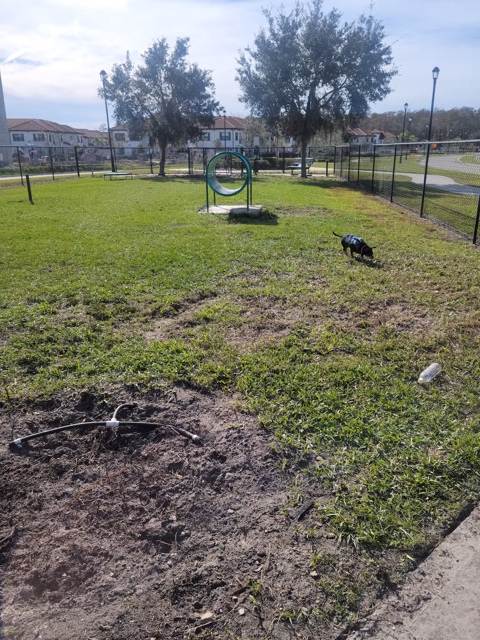 Jubilee Dog Park - Orlando, FL