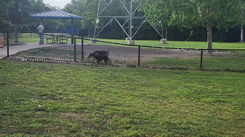 Meadow Woods Dog Park - Orlando, FL