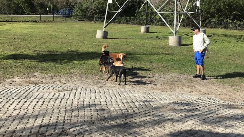 Meadow Woods Dog Park - Orlando, FL
