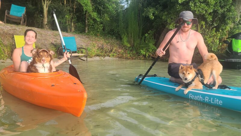 Orlando Dog Camp - Orlando, FL