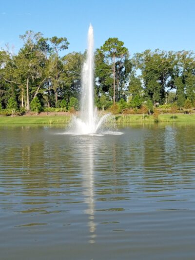 The Grove - Orlando, FL