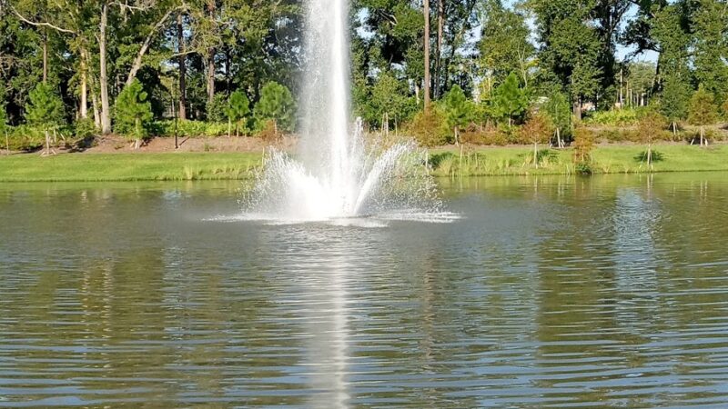 The Grove - Orlando, FL