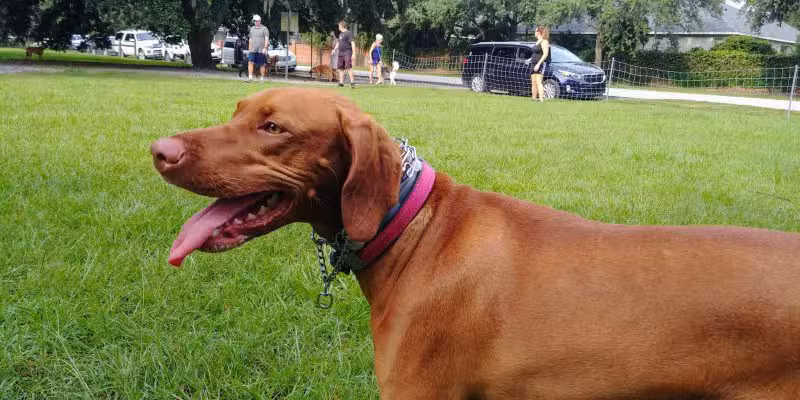 Warrior Park - Orlando, FL