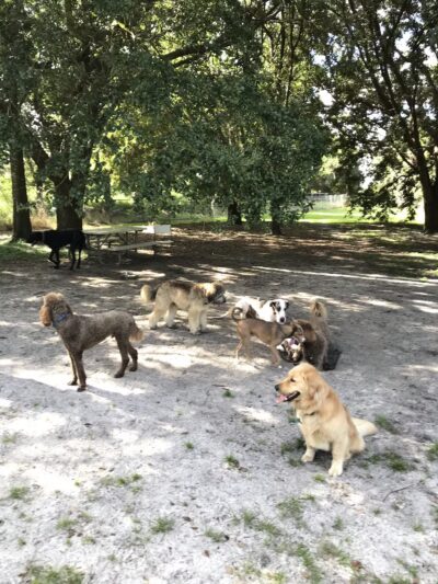 Warrior Park - Orlando, FL