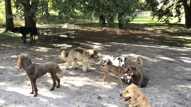 Warrior Park - Orlando, FL