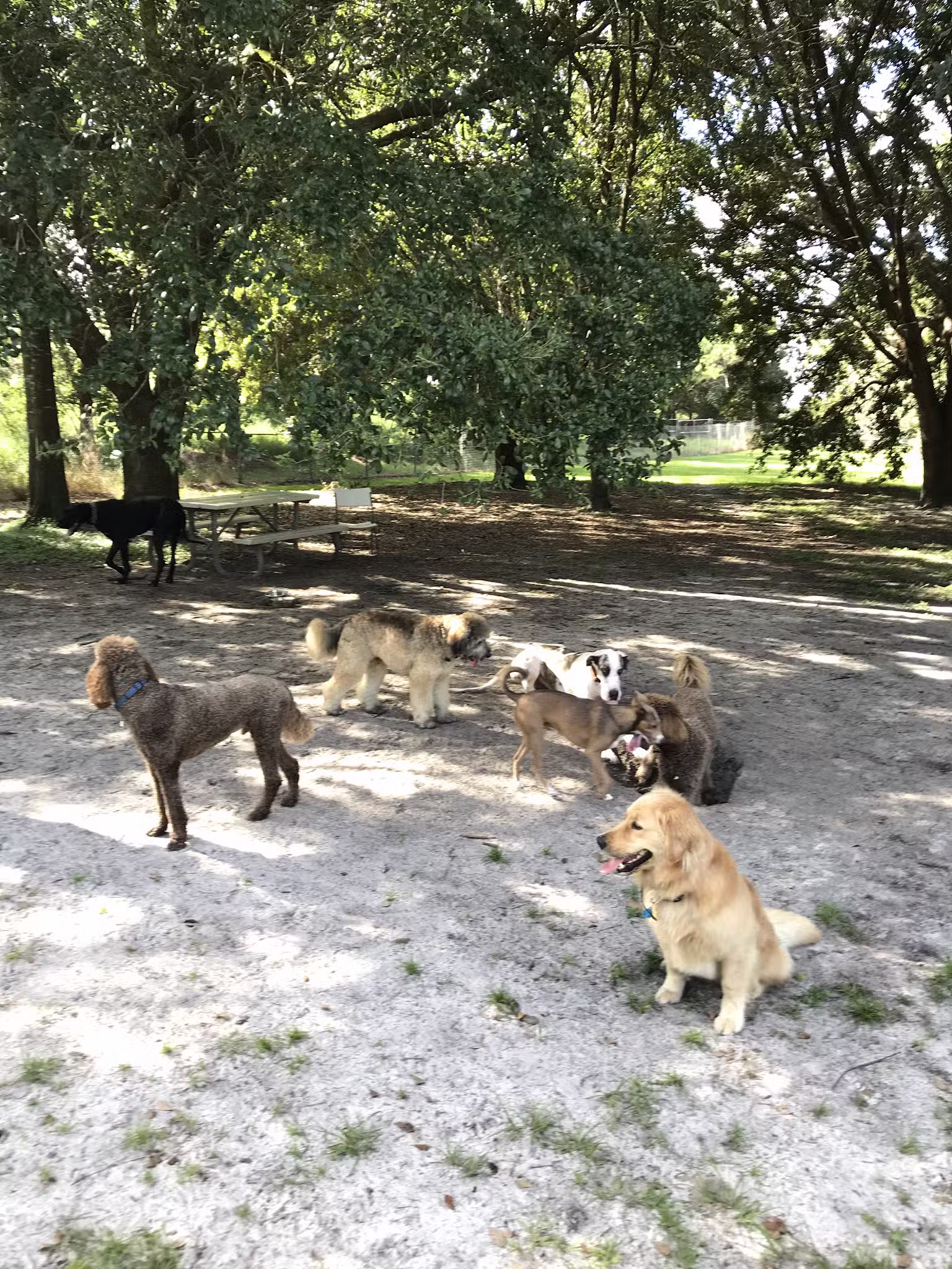 Warrior Park - Orlando, FL