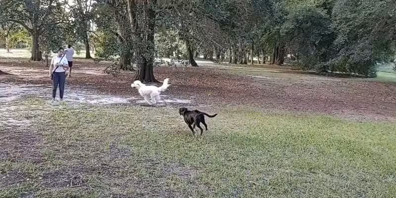 Warrior Park - Orlando, FL