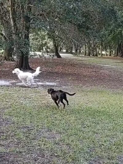 Warrior Park - Orlando, FL