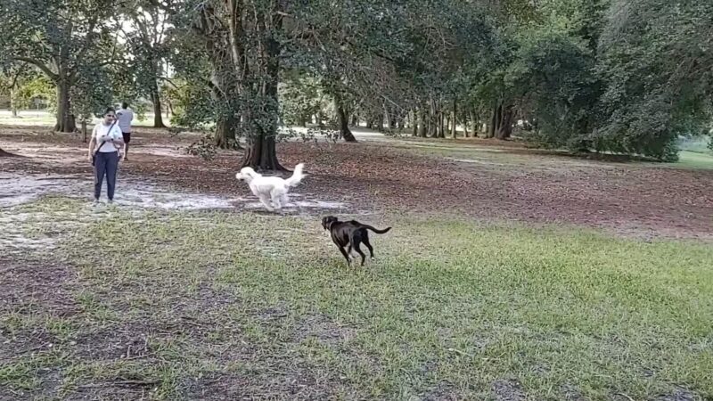 Warrior Park - Orlando, FL