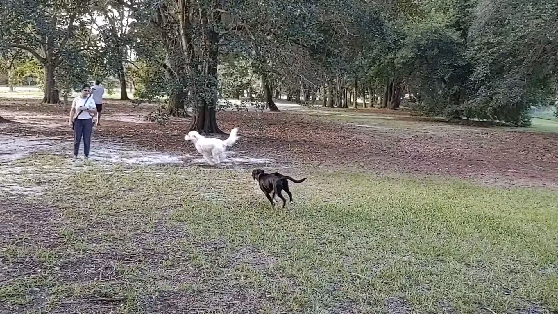 Warrior Park - Orlando, FL