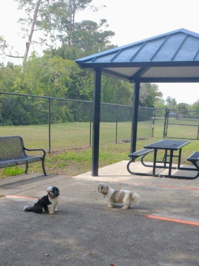 Yucatan Dog Park - Orlando, FL