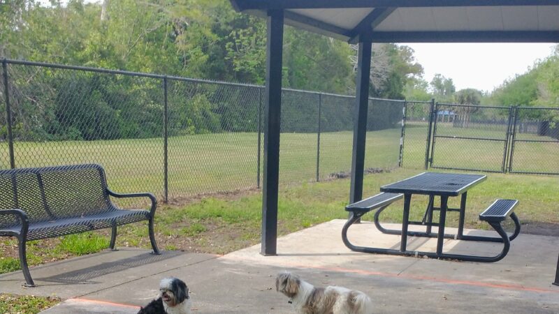 Yucatan Dog Park - Orlando, FL