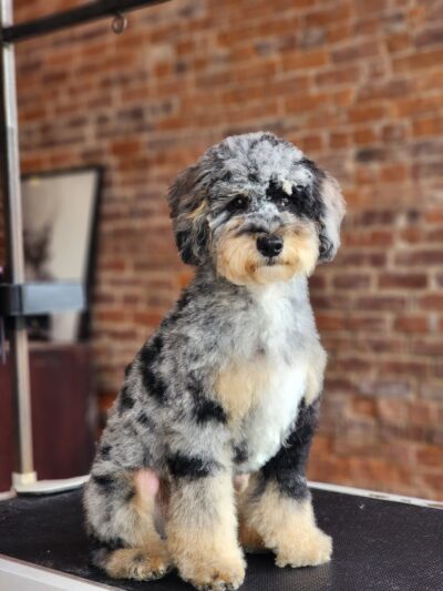 The Pawlor - Orleans, IN