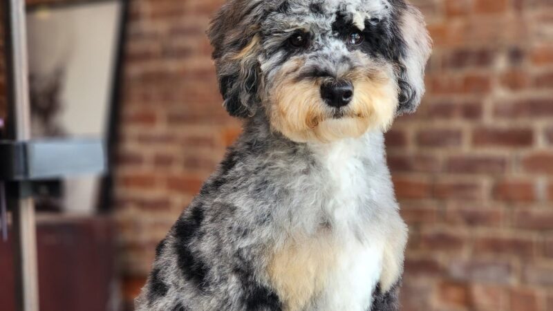 The Pawlor - Orleans, IN