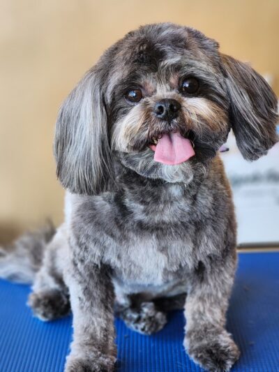 The Pawlor - Orleans, IN