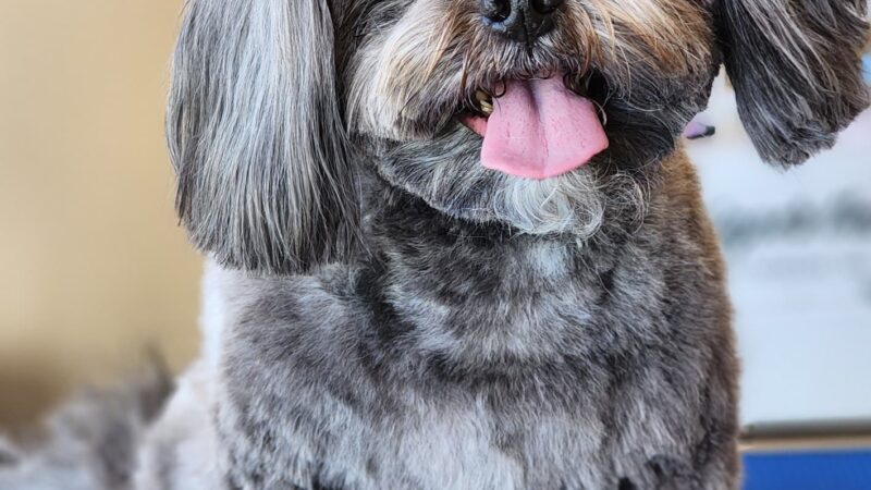 The Pawlor - Orleans, IN