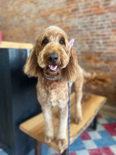 The Pawlor - Orleans, IN