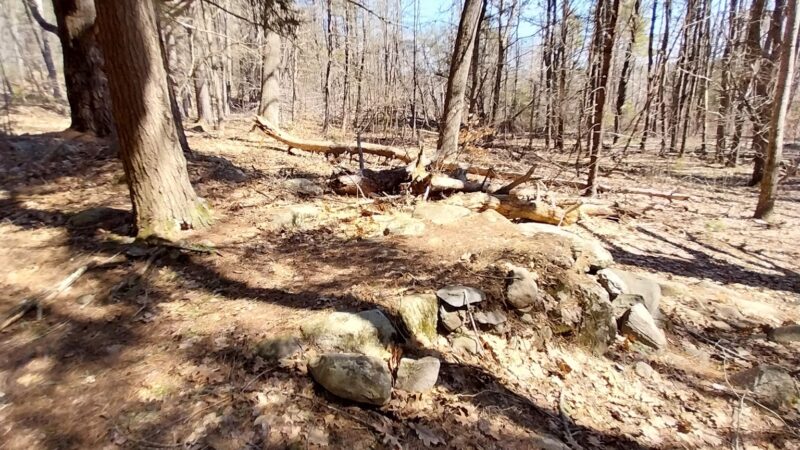 Piney Knoll Conservation Area - Orono, ME