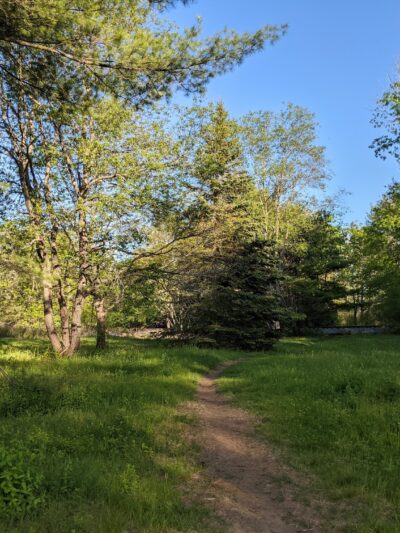 Piney Knoll Conservation Area - Orono, ME
