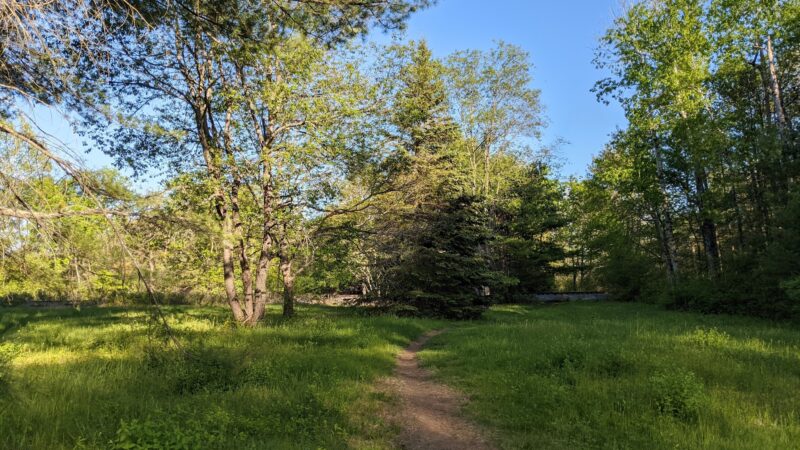 Piney Knoll Conservation Area - Orono, ME
