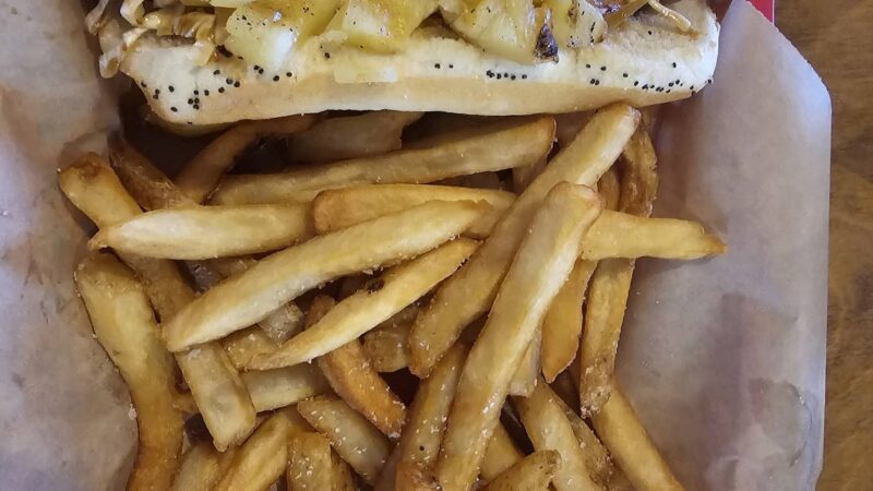 The Family Dog - Orono, ME