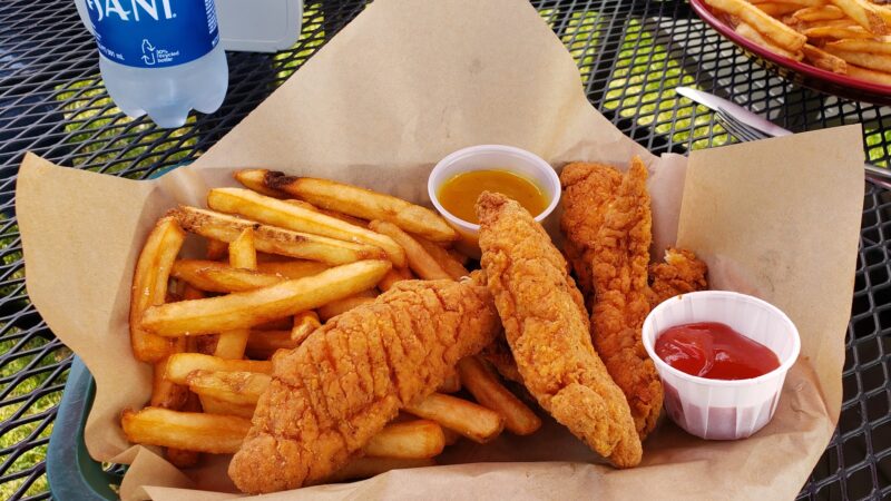 The Family Dog - Orono, ME