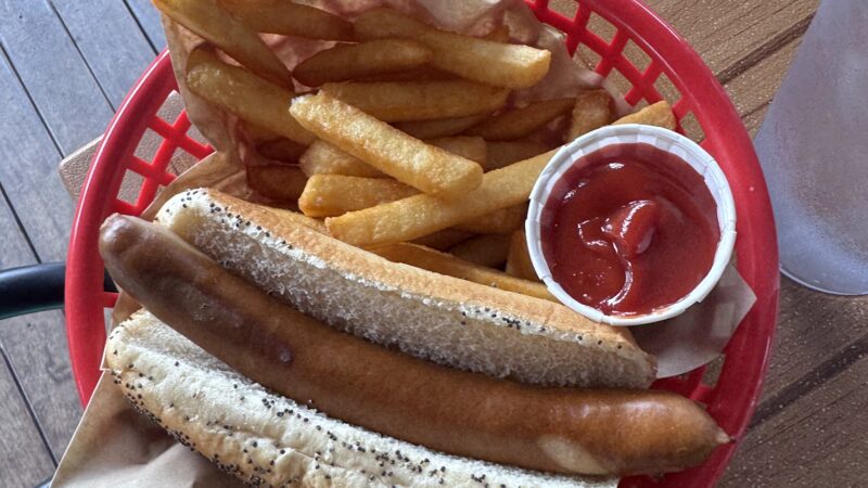 The Family Dog - Orono, ME