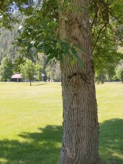 Gene Day Park - Osburn, ID