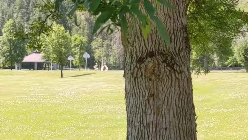 Gene Day Park - Osburn, ID