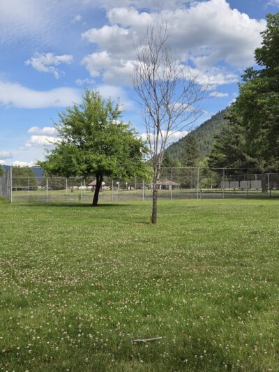 Gene Day Park - Osburn, ID