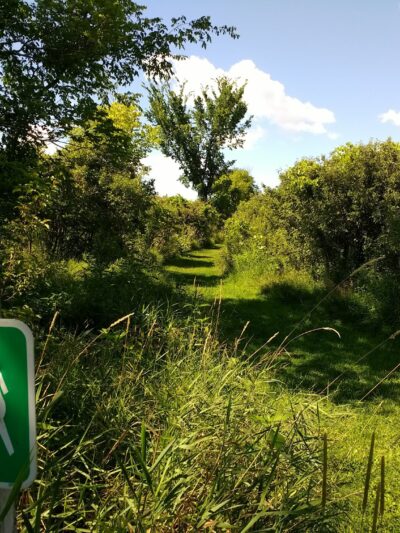 Cedar Bluffs Natural Area Trailhead - Oskaloosa, IA