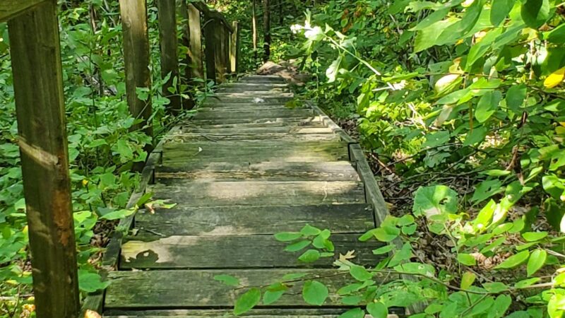 Cedar Bluffs Natural Area Trailhead - Oskaloosa, IA